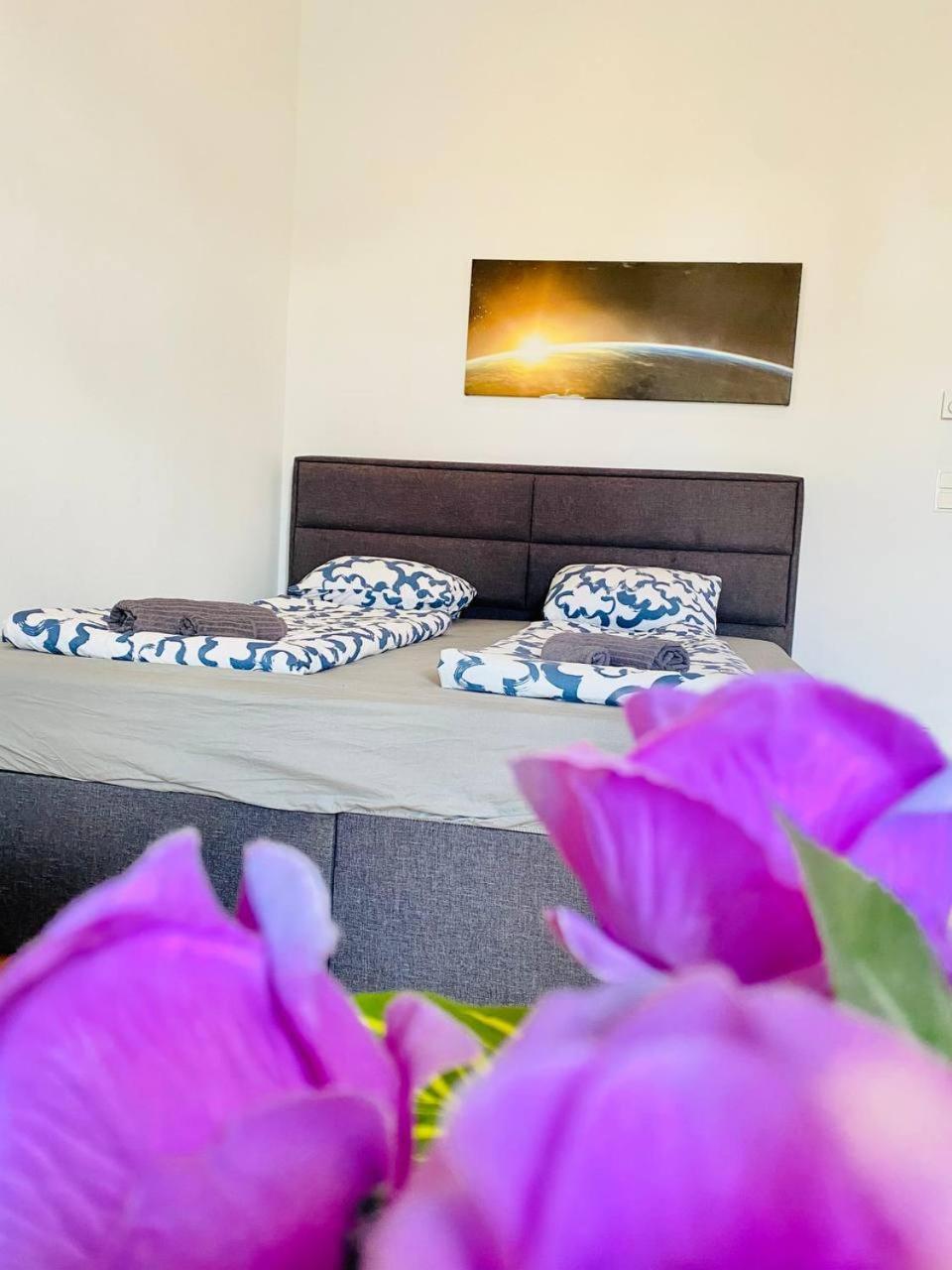 Cozy Rooms In Brigittenau Area Mm23 Viena Exterior foto
